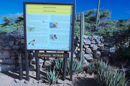 Arikok National Park Aruba things to do in Aruba