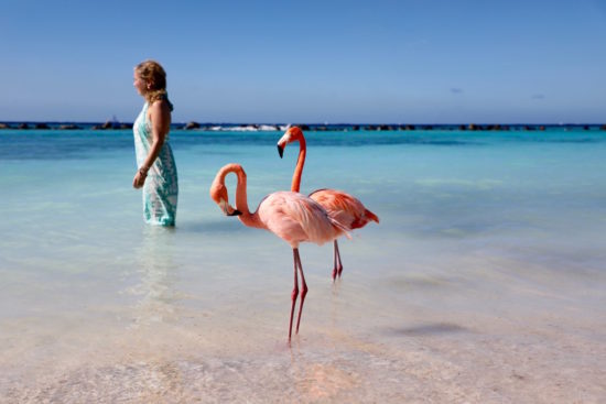 Jeannette van Mullem flamingo beach Aruba purefoodtravel