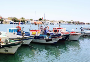 Holiday Algarve tips