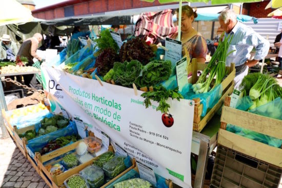 Olhão mercado municipal organic food market