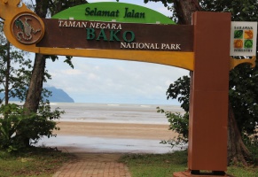 Bako National Park in Borneo