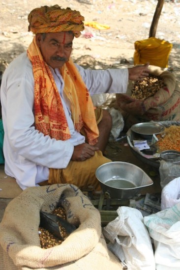 Pure Food Travel Rajasthan India