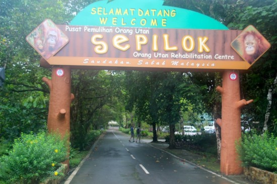 Sepilok