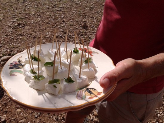 Semper Kontentu Goat Cheese Bonaire