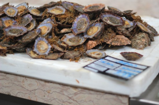 lapa funchal fish market