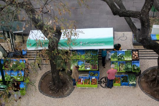 1_organic_market_Funchal