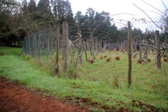 quinta das colmeias