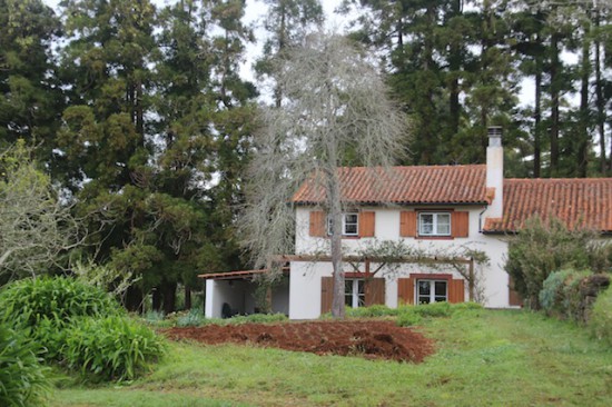 quinta das colmeias