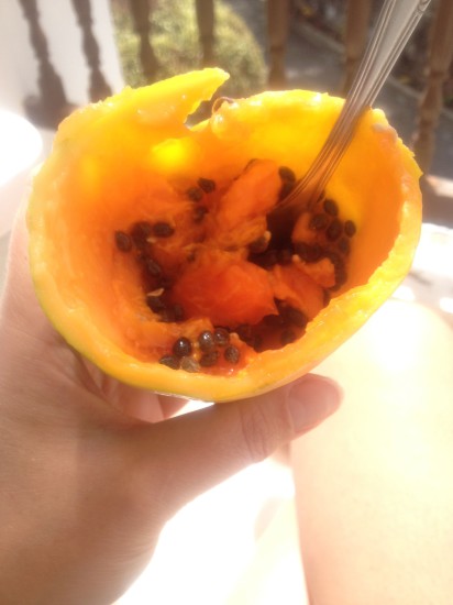 papaya