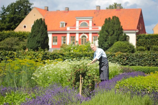 katrinetorp malmo