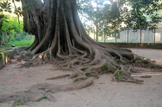 quinta das lagrimas