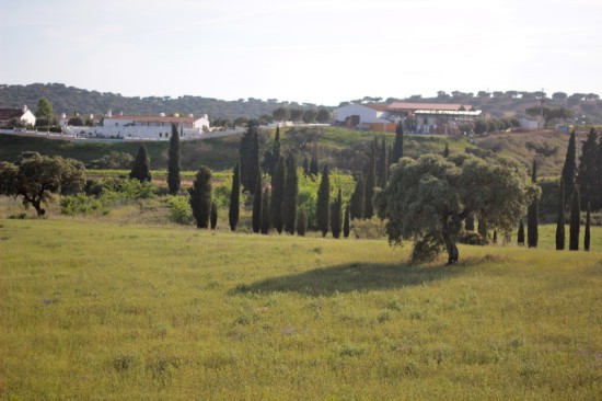 herdade do sobroso alentejo