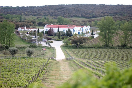 monte da ravasqueira