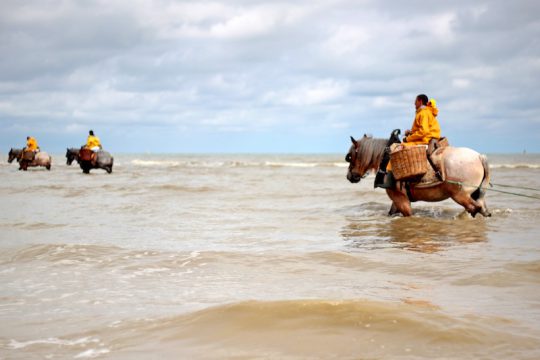 shrimp fishermen