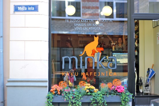 Minka cat cafe