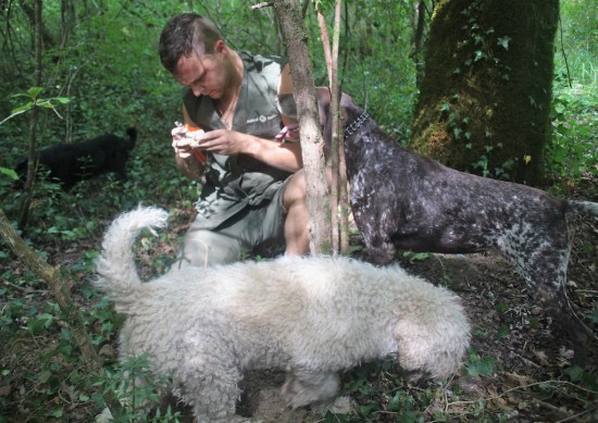 karlic tartufi truffle hunting