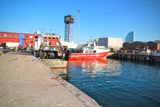 Barceloneta Fisheries Barcelona fish 