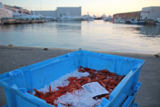 Barceloneta Fisheries Barcelona fish 