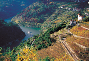 Coming soon: Porto & Douro wine