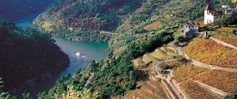Douro wine valley Portugal