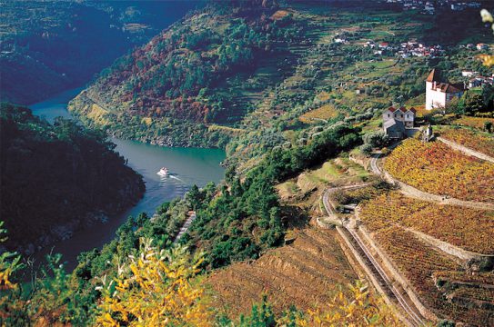 Douro wine valley Portugal