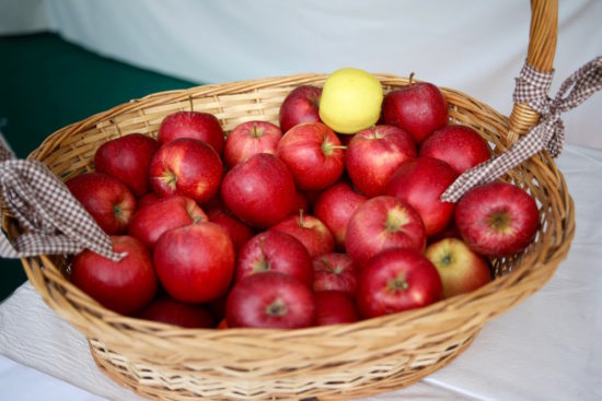 Apples in South Tyrol